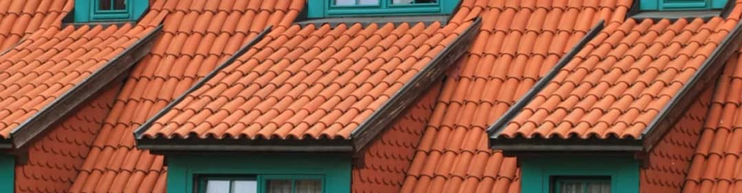 Ile bierze dekarz? Poznaj stawki i uniknij niepotrzebnych kosztów